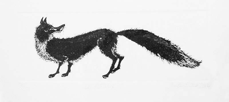 Beautiful Fox